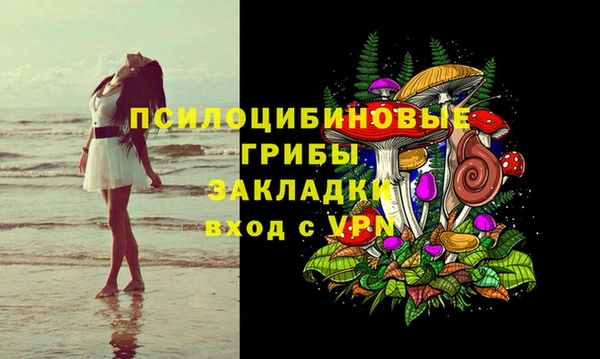 бутират Алзамай