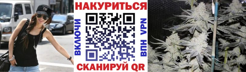 Конопля конопля Енисейск